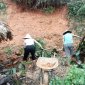 địa bàn xã Giao An và một số hộ gia đình bị sạt lở đất ta luy dương. Hoa màu, ao, hồ bị ngập gây thiệt hại cho người dân