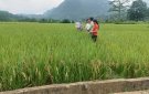 Câu lạc bộ Liên thế hệ giúp đỡ nhau thôn Chiềng Nang, xã Giao An