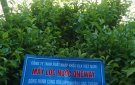 Công ty TNHH xuất nhập khẩu KLK Việt Nam ( Máy lọc nước ONEWAY ) đã đồng hành cùng Hội LHPN huyện Lang Chánh “ Xây dựng nông thôn mới – vườn sạch nhà đẹp” 