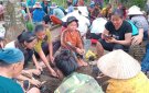 Ngày 14/8/2024 nhân dân và cán bộ Thôn Trô, xã Giao An tiếp tục phát động ra quân thực hiện trồng cây chè mạn hàng rào xanh