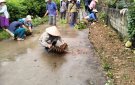 Ngày 15/8/2024 tại Thôn Bắc Năm nhân dân và cán bộ Thôn Bắc Nặm, xã Giao An tiếp tục phát động ra quân thực hiện trồng cây chè mạn hàng rào xanh